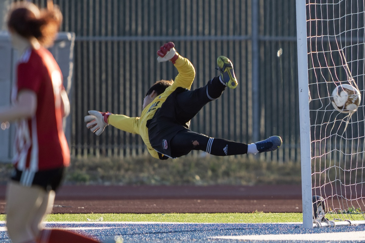 Sunnyvale Alliance Soccer Club